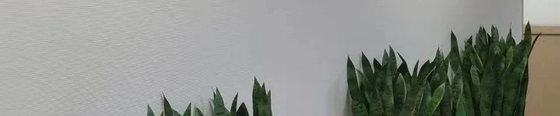 &