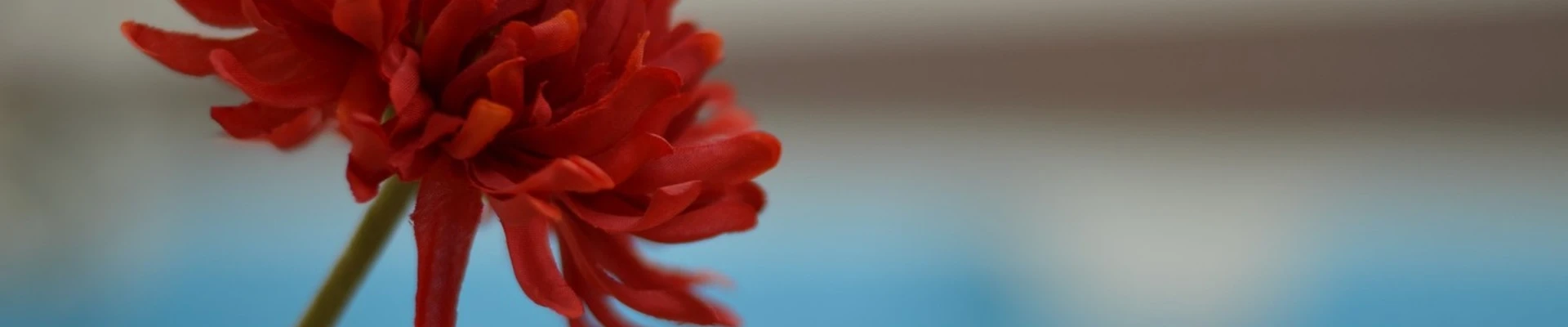 &