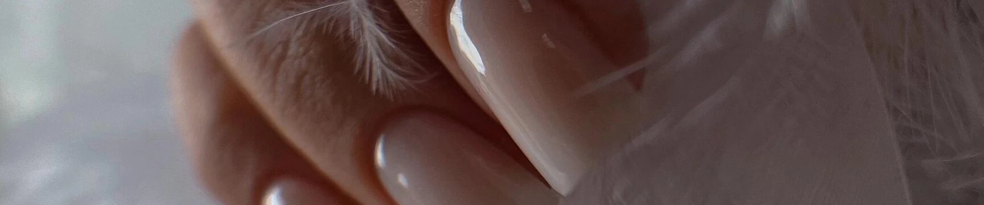 Mindal в Выборге Ленинградская область, Выборг, улица Димитрова, 4, 20 офис; 4 этаж