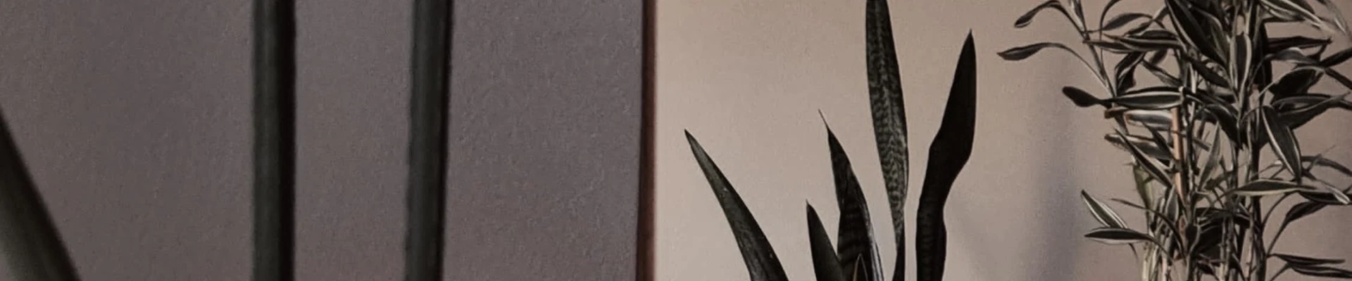 &
