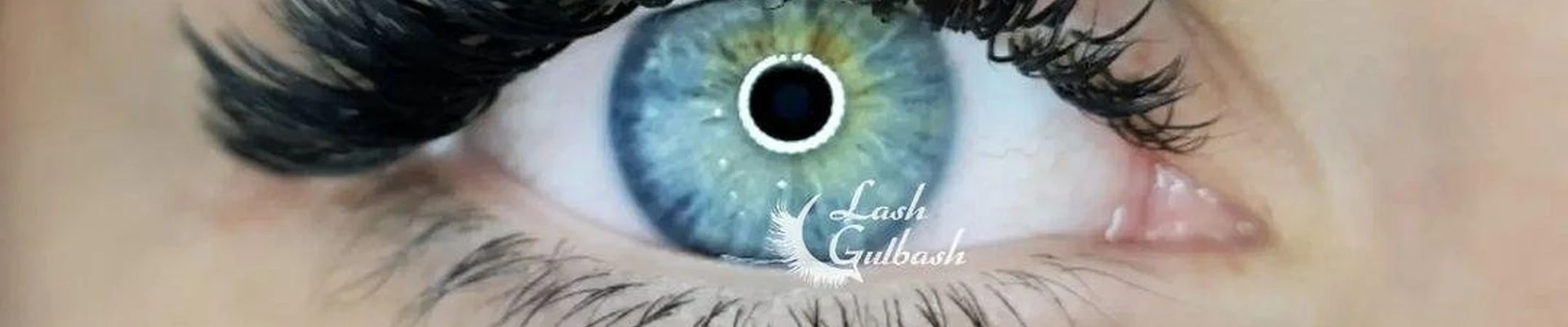 Lash, школа-студия