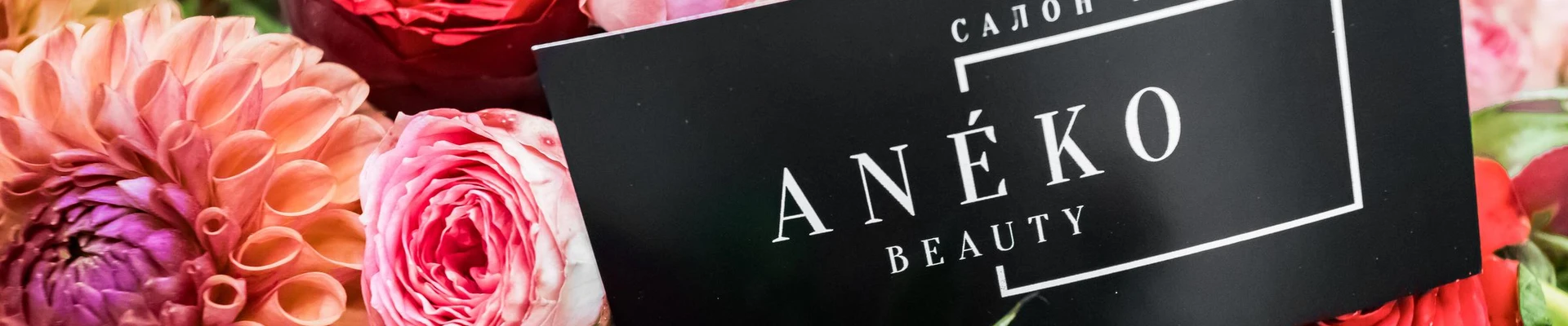 Aneko в Котельниках Россия, Москва, улица Авиаконструктора Миля, 26