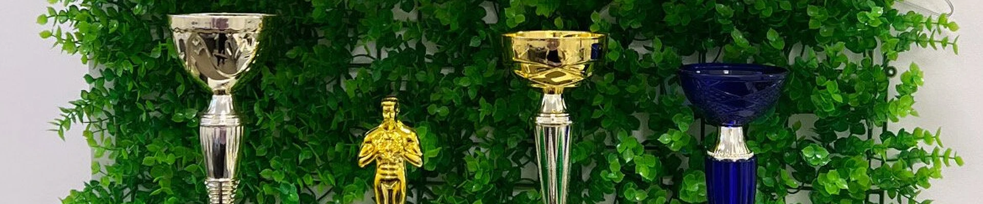 LEONOVICHstudio