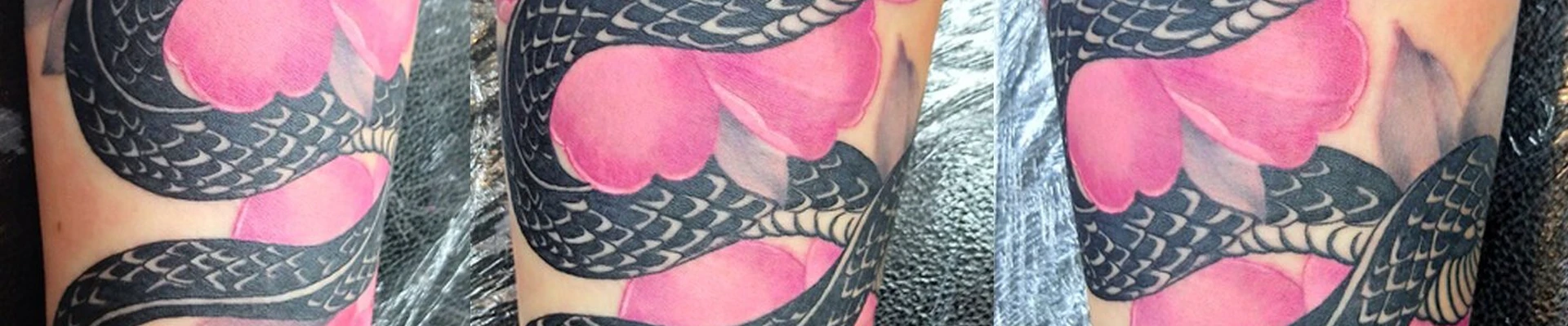 Scorpion