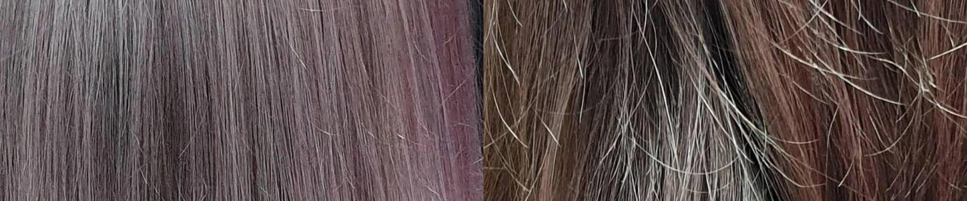 Рапсодия в Курске Курская область, Курск, проспект Вячеслава Клыкова, 8, 1 этаж