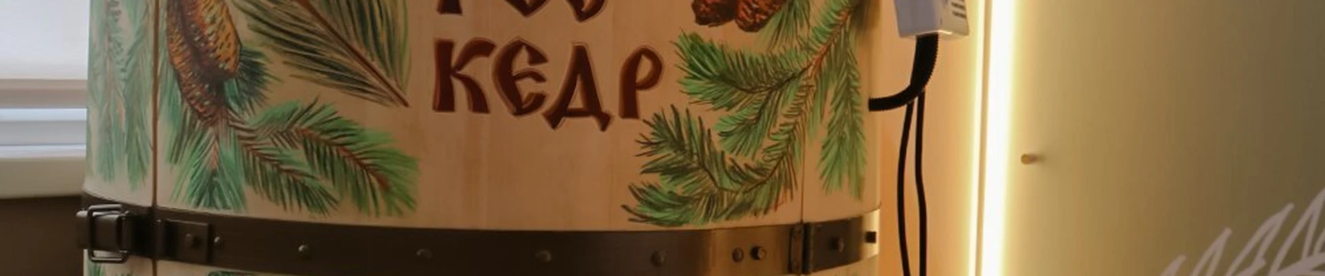 Роскедр Про