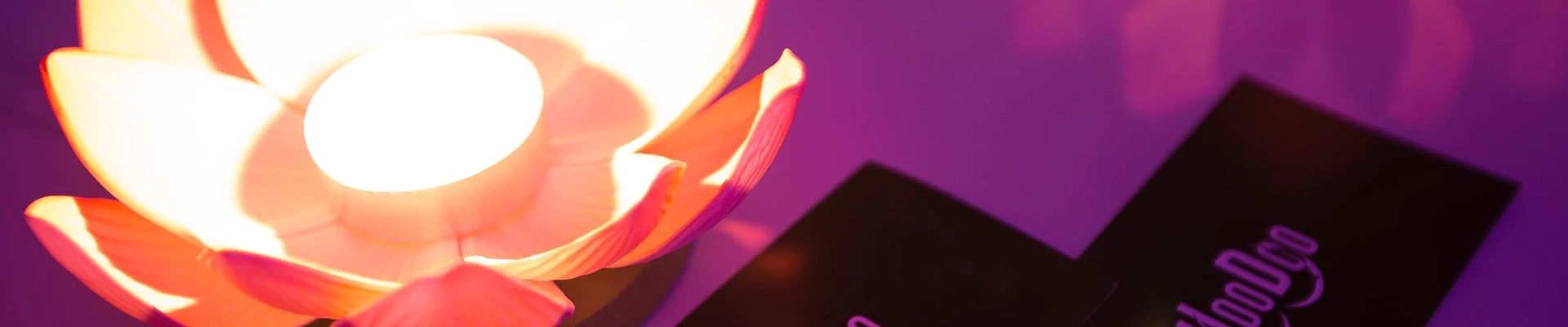 Woodoo в Владивостоке Россия, Приморский край, Владивосток, проспект 100-летия Владивостока, 22, Только по предварительной записи!