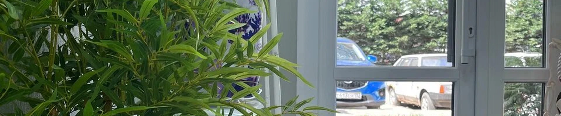 Массаж-академия