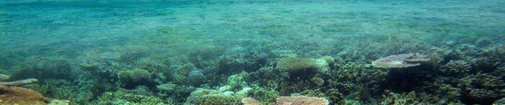 Акваника в Сургуте Ханты-Мансийский автономный округ, Сургут, улица Григория Кукуевицкого, 12/2, 1 этаж