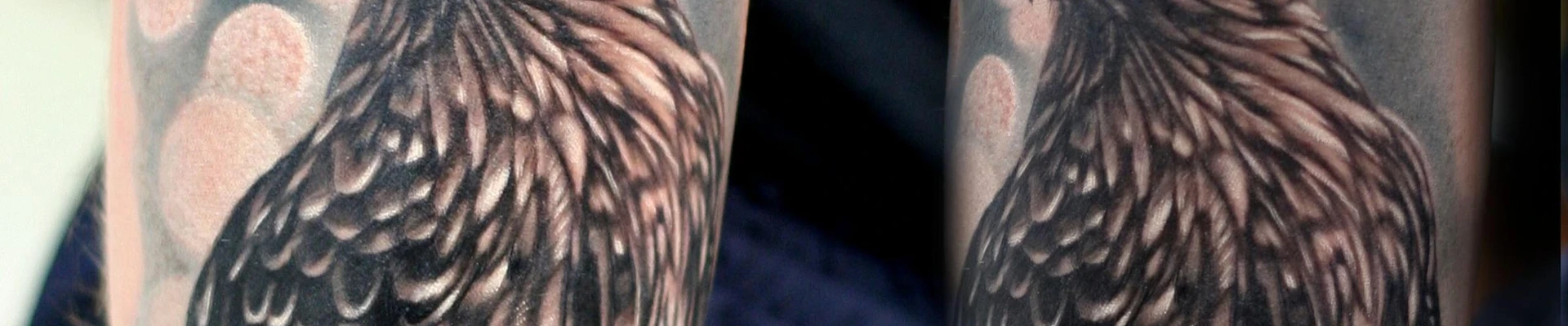 Hedgehog-tattoo в Ковровом Владимирская область, Ковров, Еловая улица, 98