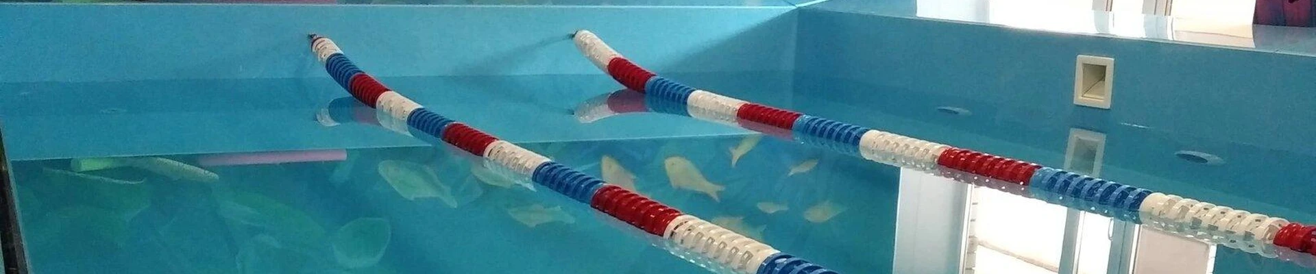 Плескандия