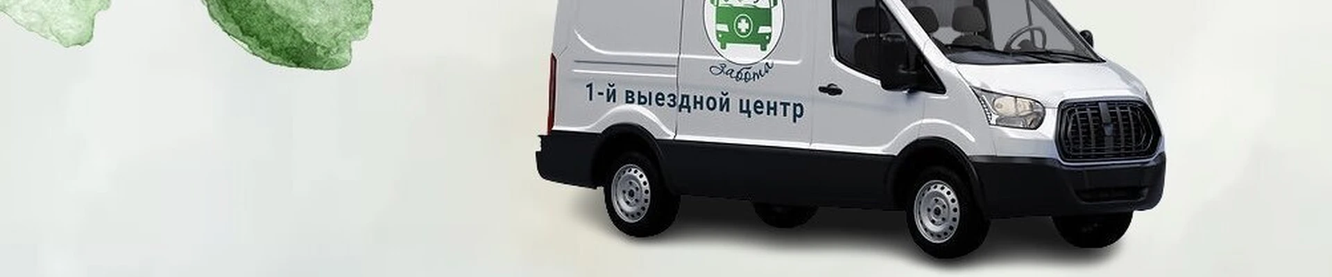 Николина забота