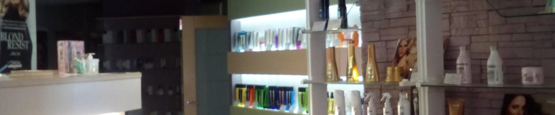 Елены Литвиновой