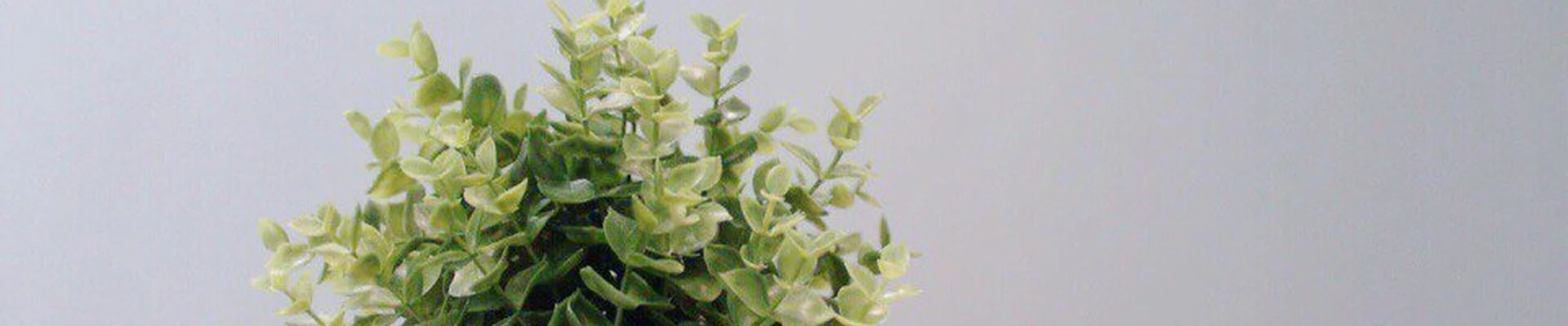 Всем массаж