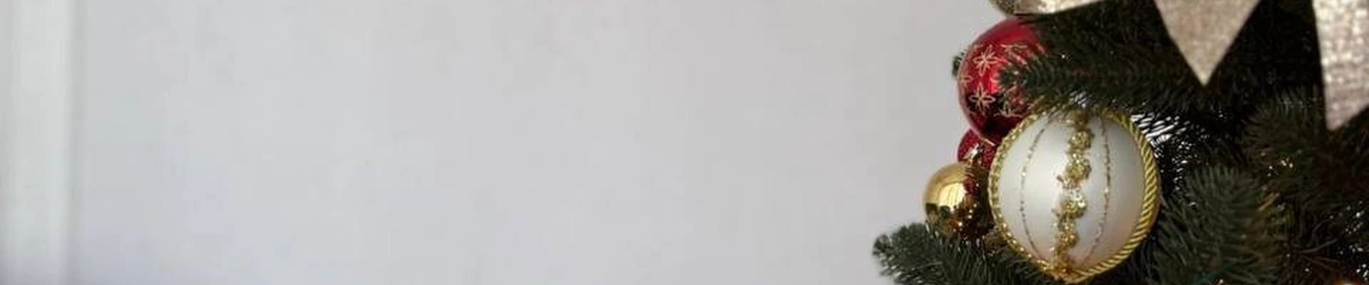 Плюмерия СПА