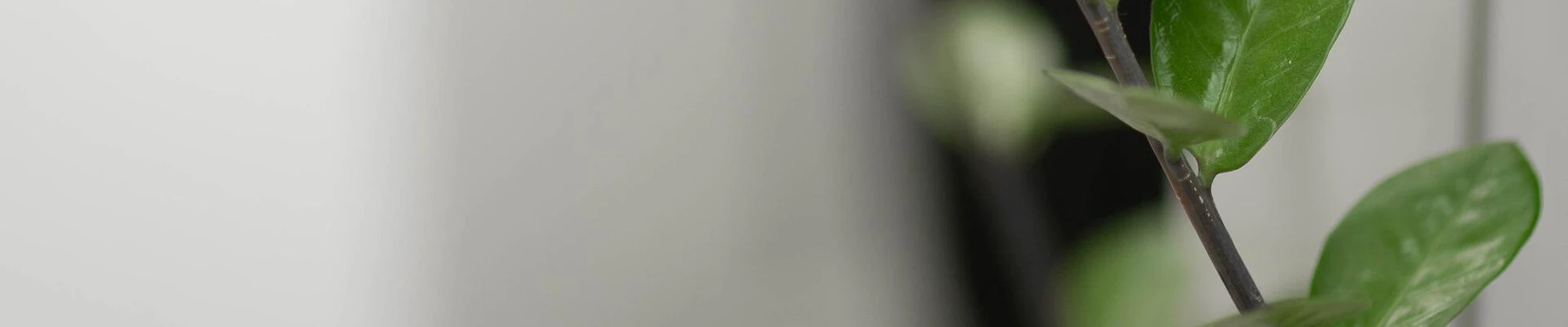 Студия красоты на улице Свердлова