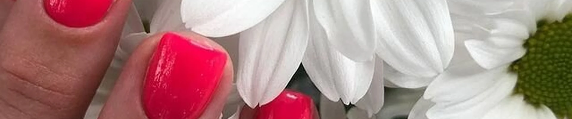 Orange style & SPA в Светлогорске Калининградская область, Светлогорск, улица Октябрьская, 2а, 1 этаж