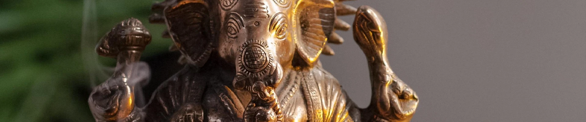 Beauty by Tropical Healer