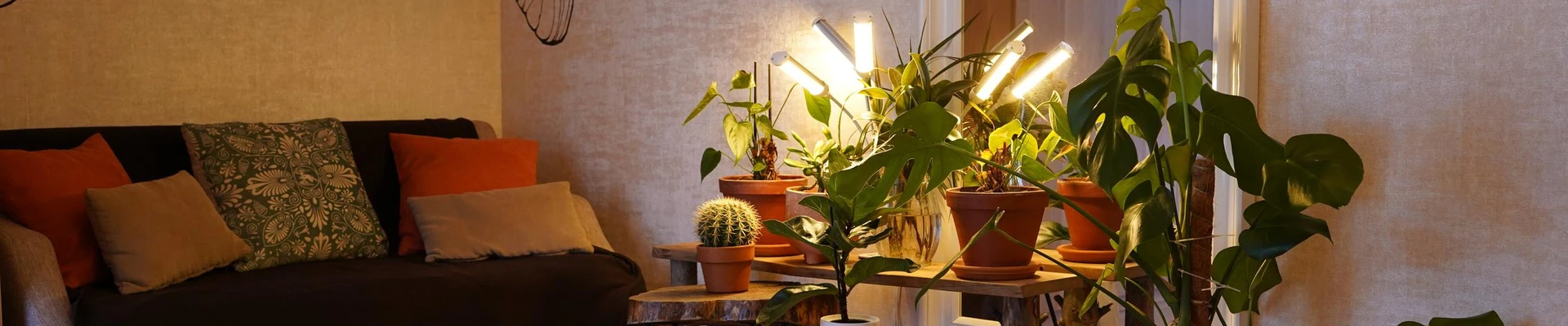 El Cabinet в Колпине Санкт-Петербург, Колпино, улица Тазаева, 9, Вход с торца со стороны Wildberries