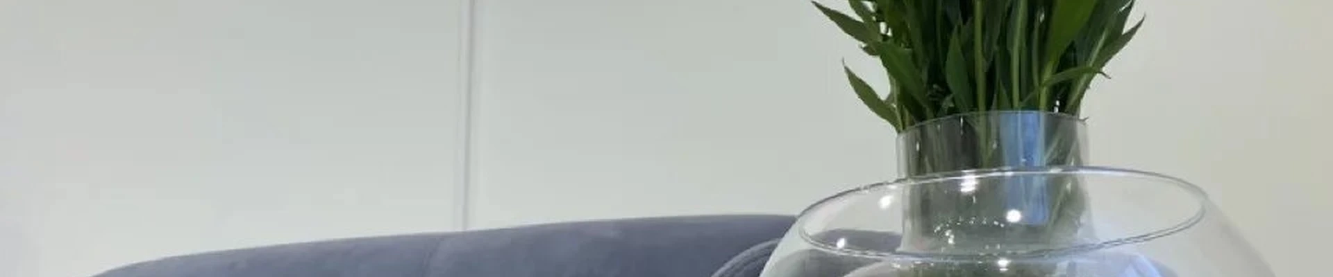 ZIMUSH