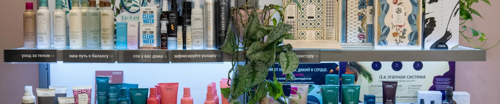 Nikol` в Курске Россия, Курск, улица Ленина, 19