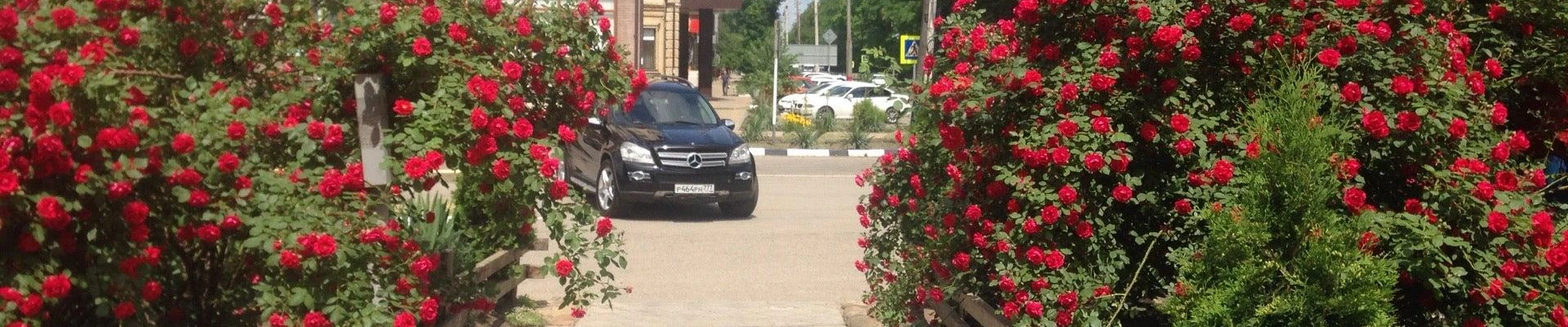 Парикмахерская в Армавире
