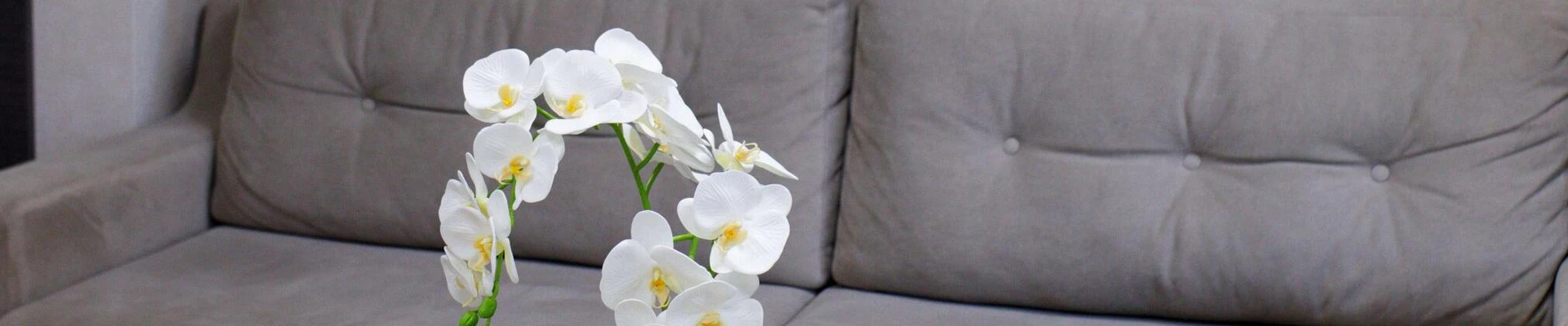 Gladko в Казани Россия, Республика Татарстан, Казань, проспект Ибрагимова, 32А, 13 офис