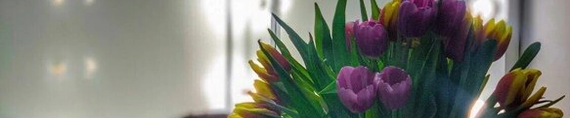 Мята в Бронницах Московская область, Бронницы, Красная улица, 81, 1.10; 1.12; 2.17 помещение; 1; 2 этаж