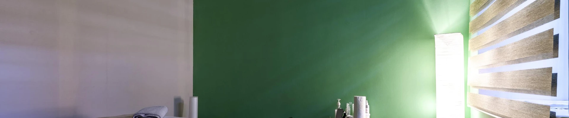 Силуэт в Пересвете Россия, Московская область, Сергиев Посад, Бероунская улица, 4