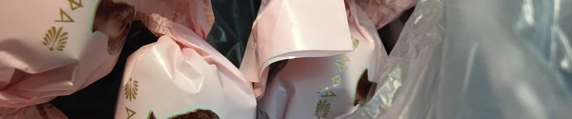 Мила в Никольске Ленинградская область, Никольское, Зелёная, 18, 1 этаж