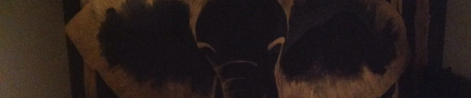 Royal Thai в Новосибирске Россия, Новосибирск, улица Ленина, 9