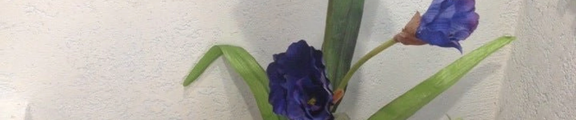 Глянец в Выборге Ленинградская область, Выборг, Ленинградское шоссе, 1