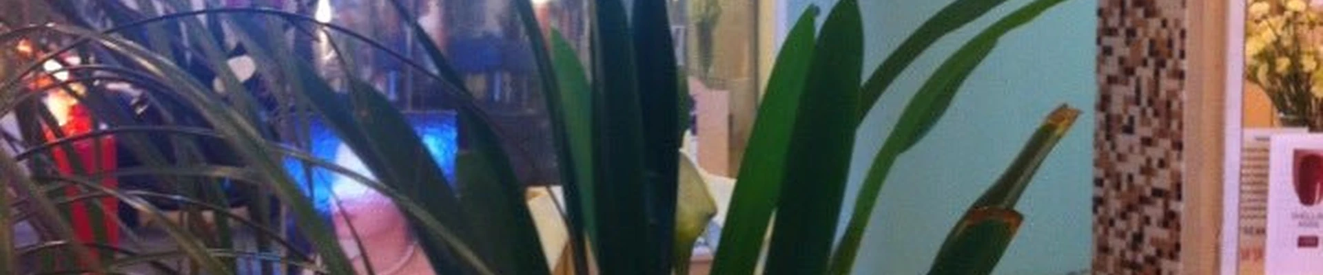 Очарование в Петрозаводске Республика Карелия, Петрозаводск, проспект Ленина, 3, цокольный этаж