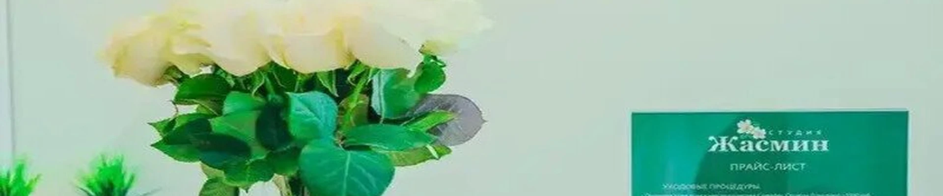 Жасмин в Петрозаводске Республика Карелия, Петрозаводск, проезд Алексея Афанасьева, 5, 1 этаж