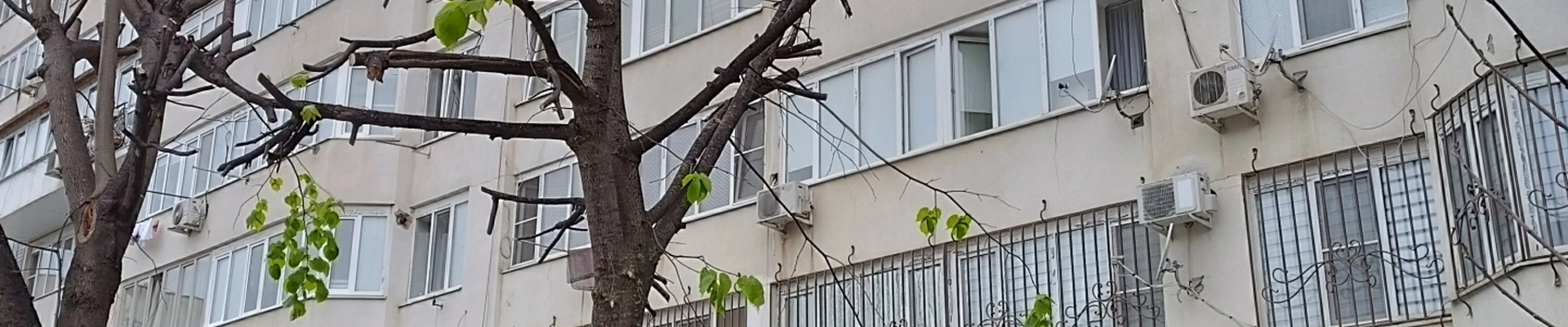 Status, центр красоты и здоровья