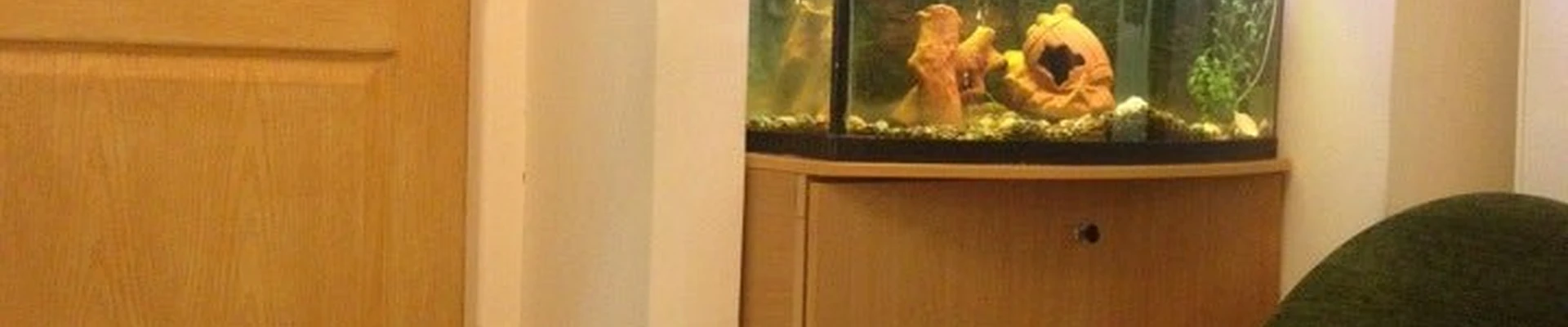Нега в Шелехове Иркутская область, Шелехов, 4-й квартал, 21, 1 этаж