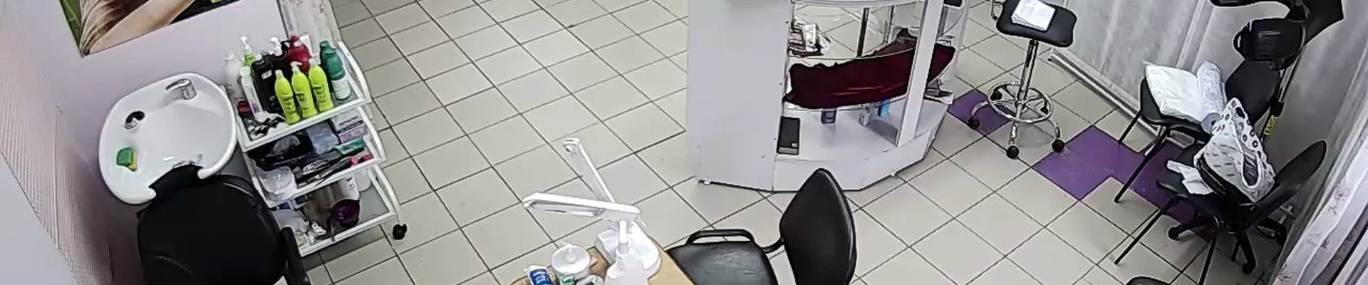 Орхидея в Бийске Алтайский край, Белокуриха, Славского, 43, 7 офис; 2 этаж