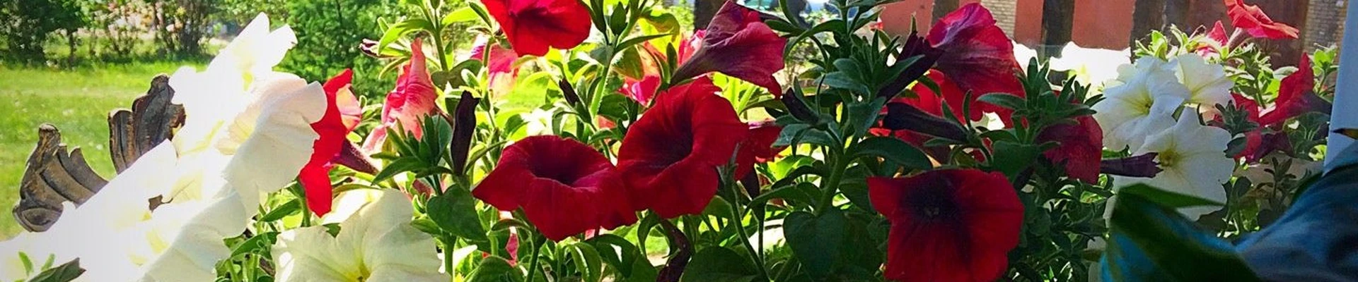 Винтаж в Сертолове Ленинградская область, Сертолово, Молодёжная, 3 к2, 1 этаж