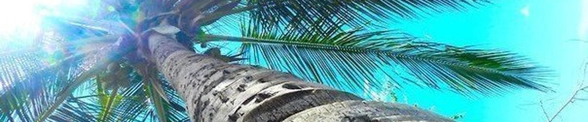 Кокос в Копейске Челябинская область, Копейск, проспект Победы, 3Б, 1 подъезд, 1 этаж