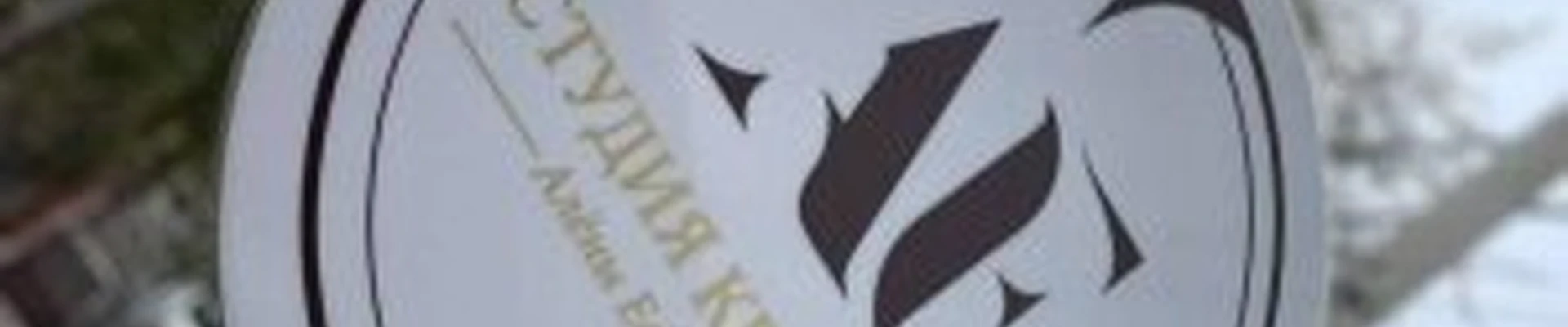 Алёны Ефимцевой