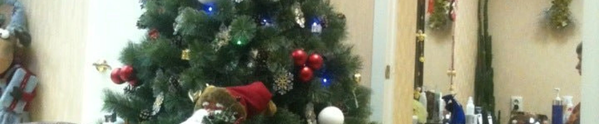 Каприз в Электрогорске Московская область, Павлово-Посадский городской округ, Электрогорск, Советская улица, 1Б, 1 этаж