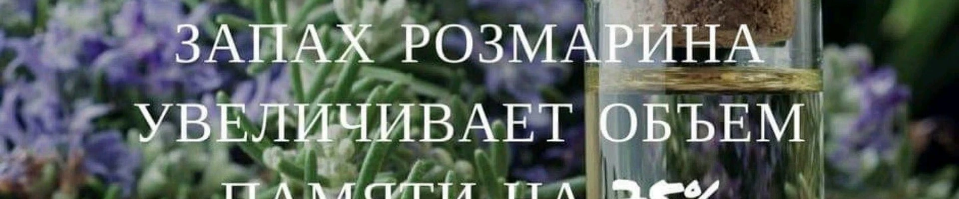 Celebrity в Магнитогорске Челябинская область, Магнитогорск, проспект Ленина, 121, 1 этаж
