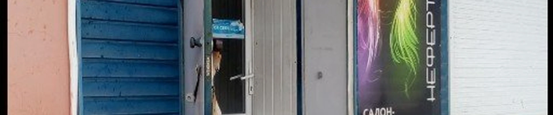 Нефертити в Вязьме Россия, Смоленская область, Вязьма, улица Ленина, 69