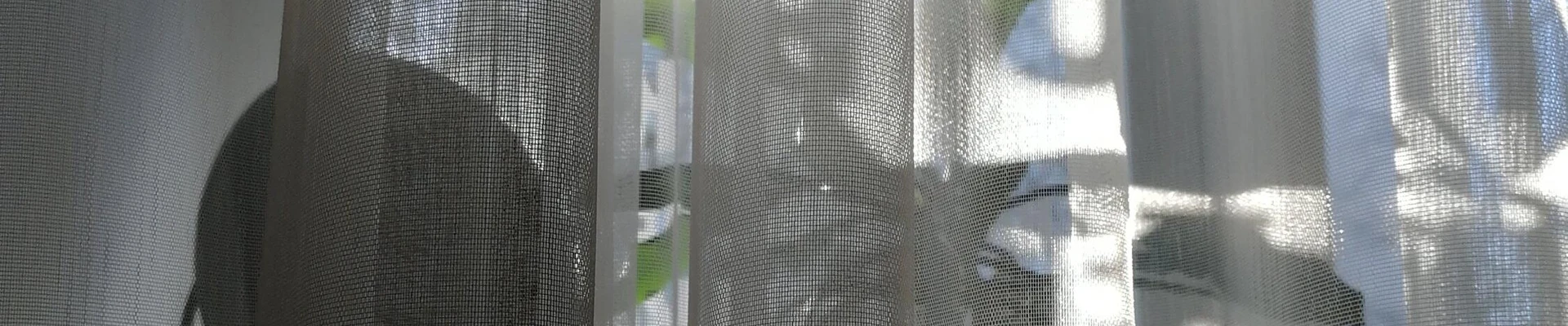 София в Пензе Пензенская область, Пенза, Суворова, 141, 1 этаж