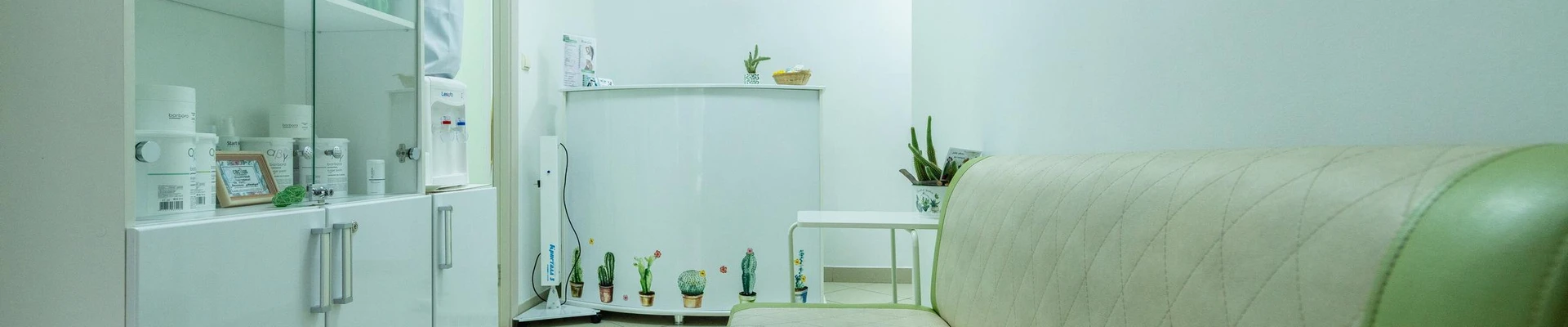 Cactus в Саранске Республика Мордовия, Саранск, Пролетарская, 38