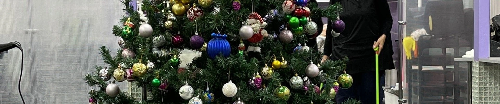 Нефертити в Якутске Республика Саха (Якутия), Якутск, проспект Ленина, 10, 1 этаж