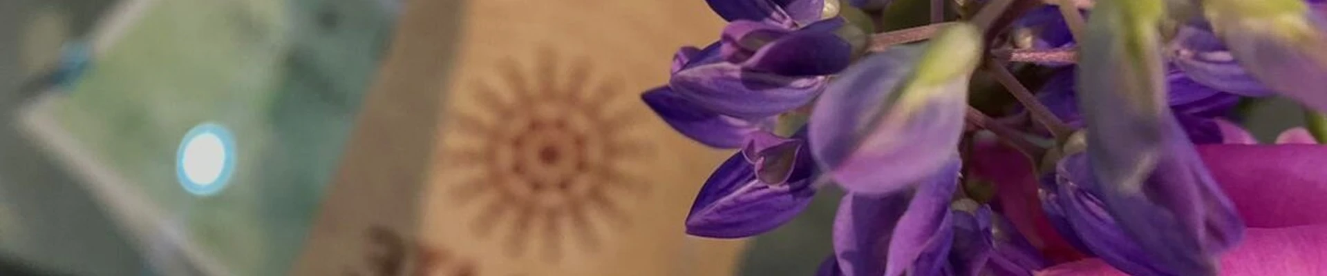 Эталон в Ярославле Ярославская область, Ярославль, Большая Октябрьская, 30а, 2 этаж; фитнес-клуб Стиль жизни.