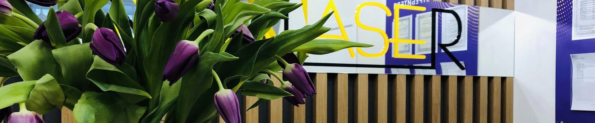 Novolaser в Новосибирске Новосибирская область, Новосибирск, улица Геодезическая, 13, 1 этаж