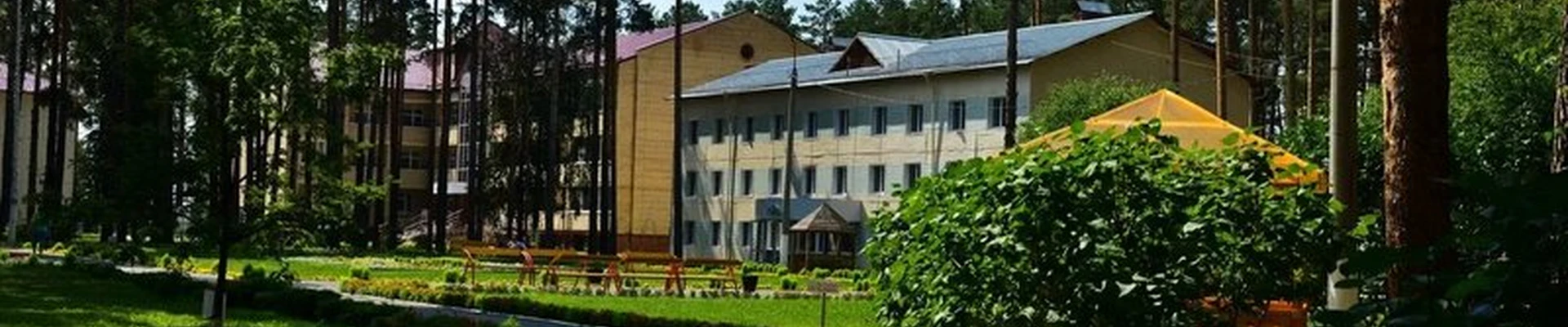 Красная гвоздика