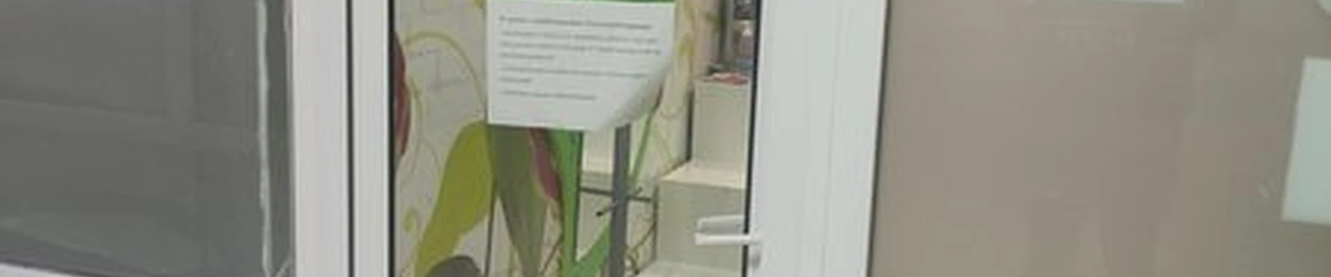 Ежик в Коломне Зелёная улица, 31а